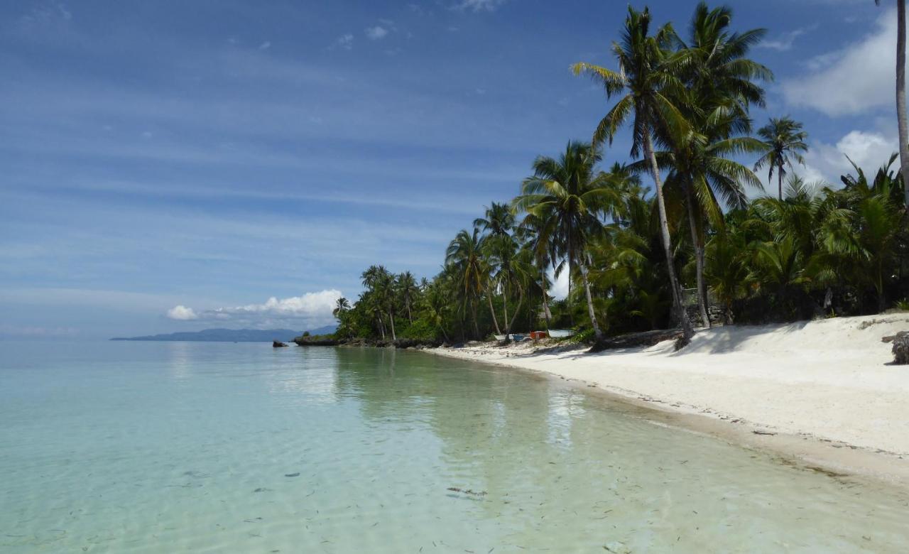 Island View Beachfront Resort Anda  Exterior photo