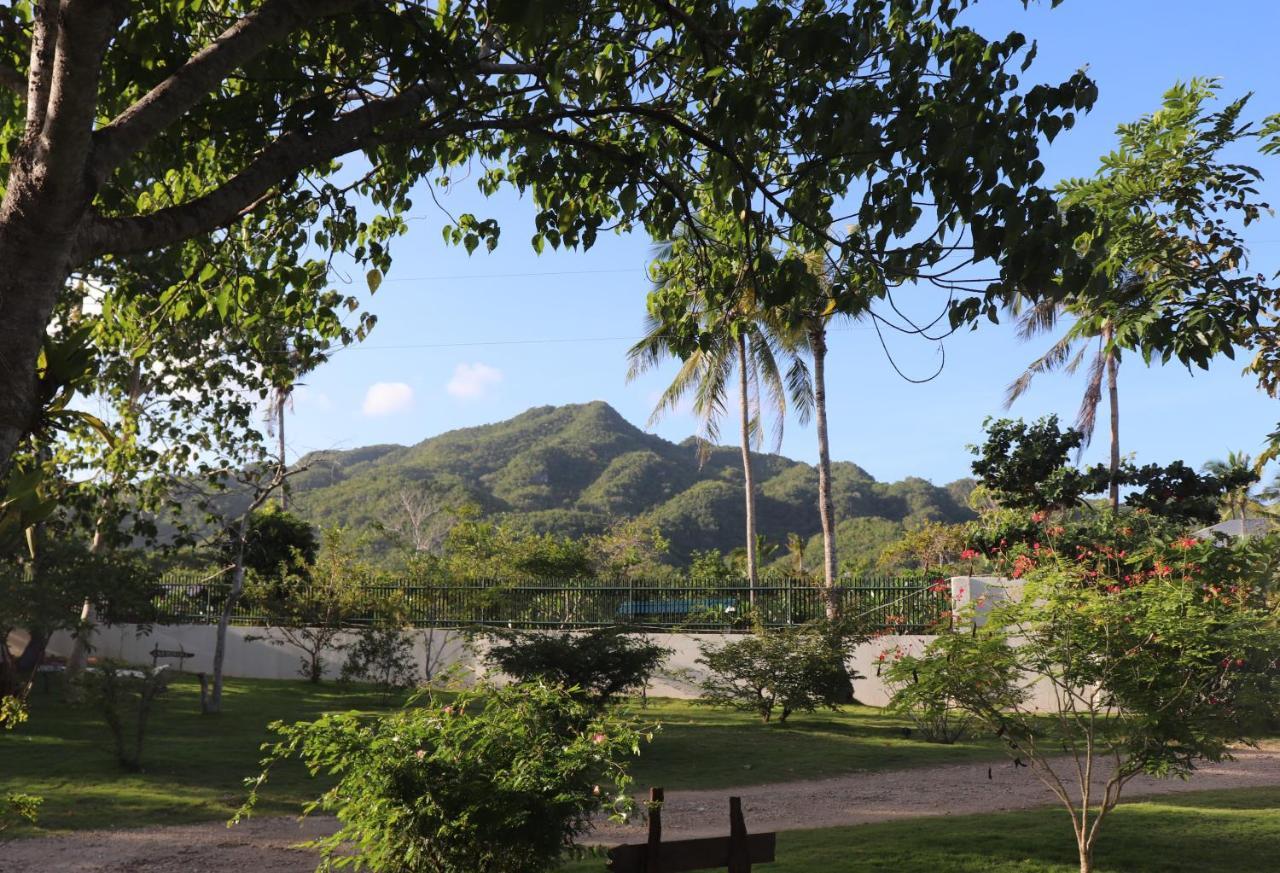 Island View Beachfront Resort Anda  Exterior photo