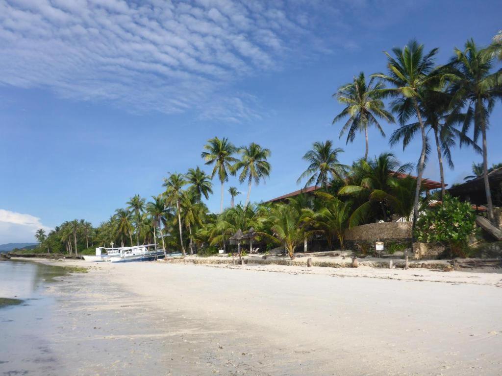 Island View Beachfront Resort Anda  Exterior photo