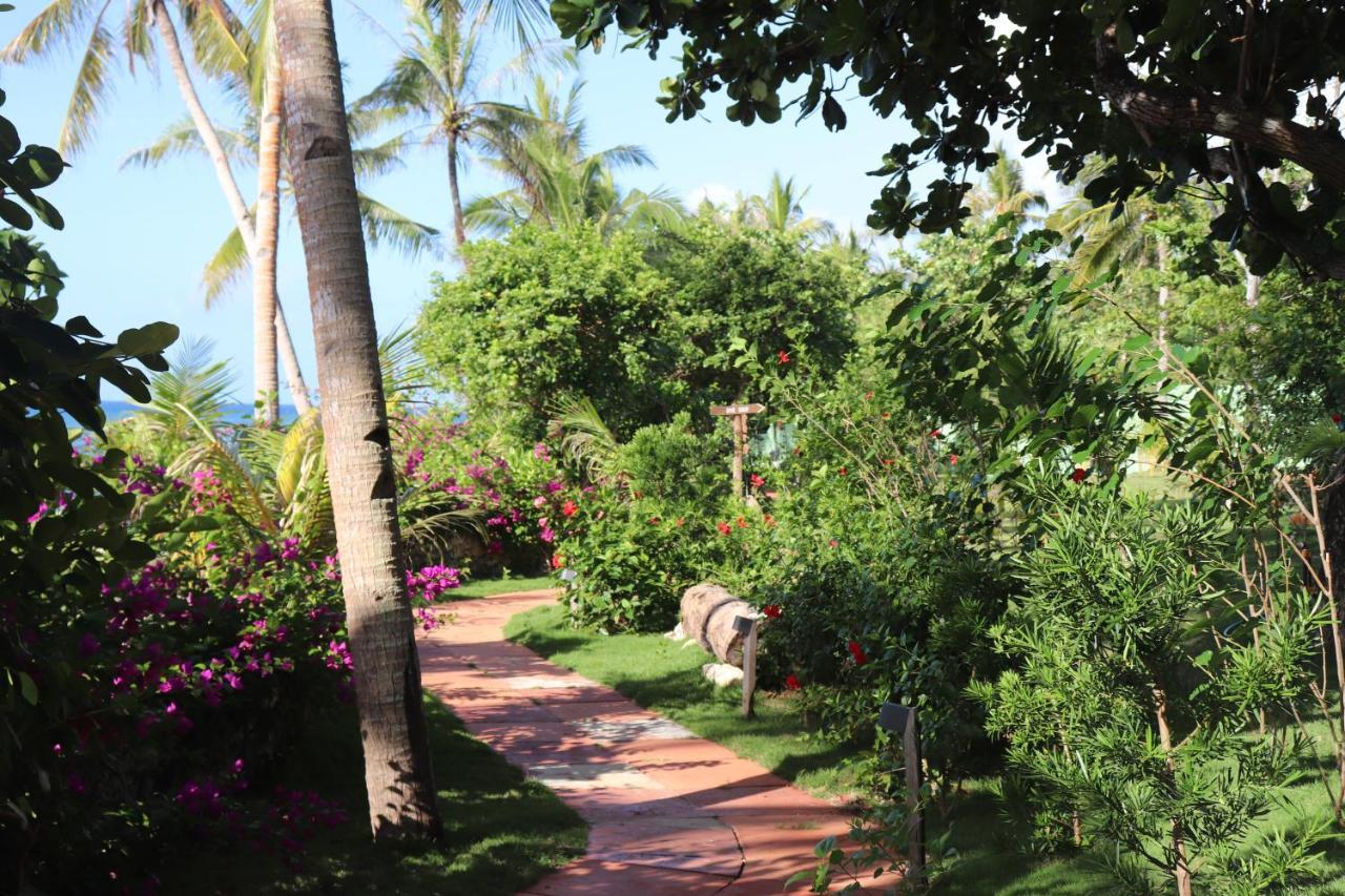 Island View Beachfront Resort Anda  Exterior photo